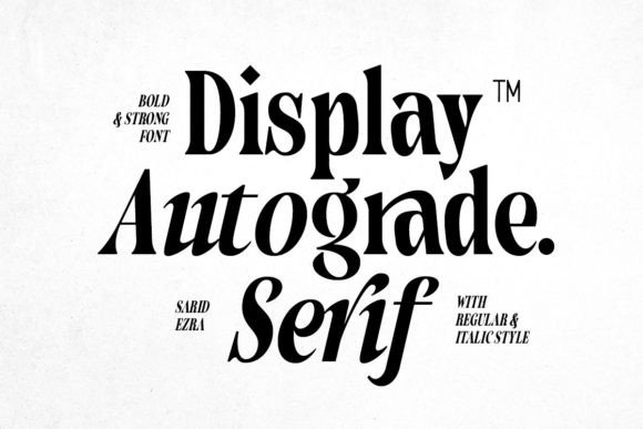 Download Autograde - Strong Bold Serif - Old Collection